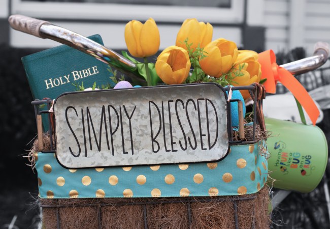 Simply Blessed: Finding Joy in Life's Simple Blessings